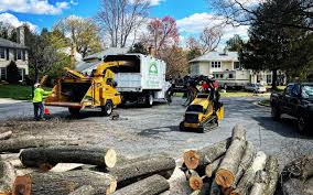 Best Arborist Consultation Services  in Tifton, GA